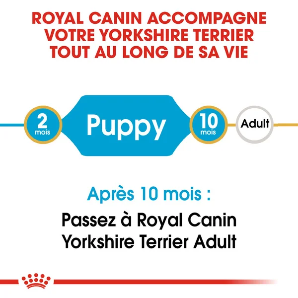 Royal Canin Yorkshire Terrier Puppy