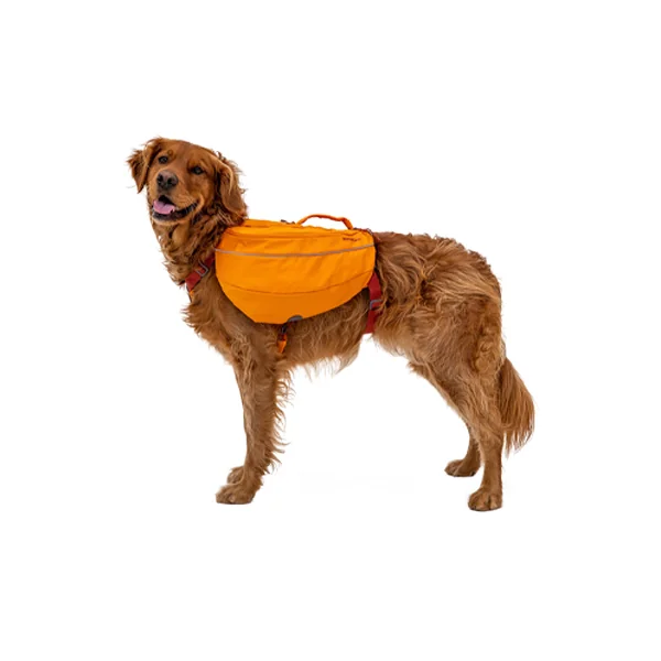 Ruffwear Approach Pack Sac à Dos pour Chien