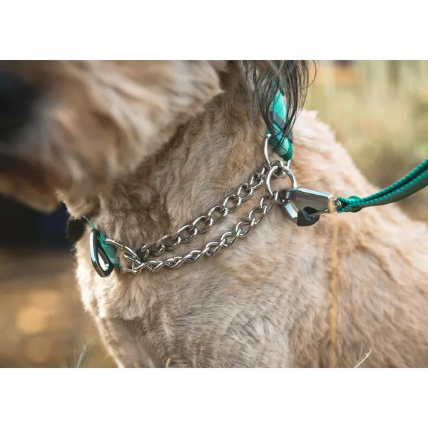 Ruffwear Chain Reaction Collier