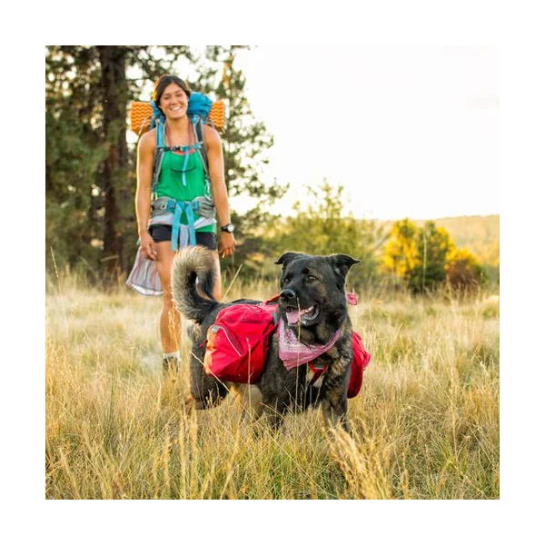 Ruffwear Palisades Pack Sac à Dos pour Chien