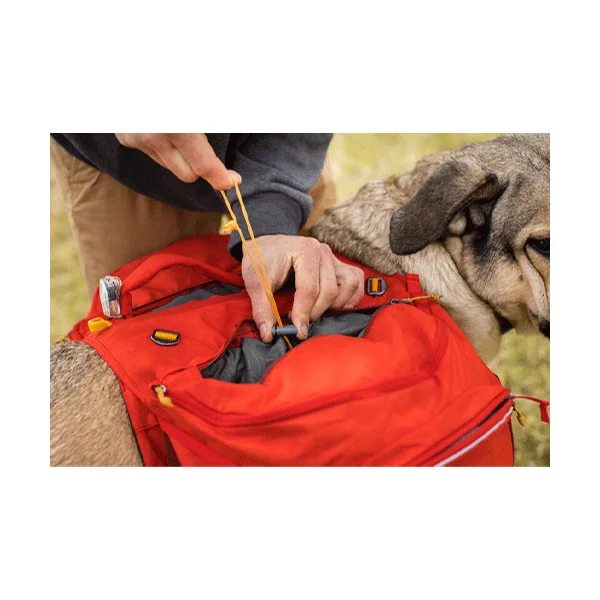 Ruffwear Palisades Pack Sac à Dos pour Chien