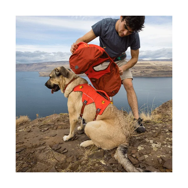 Ruffwear Palisades Pack Sac à Dos pour Chien