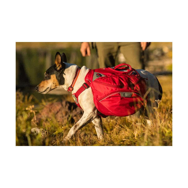 Ruffwear Palisades Pack Sac à Dos pour Chien