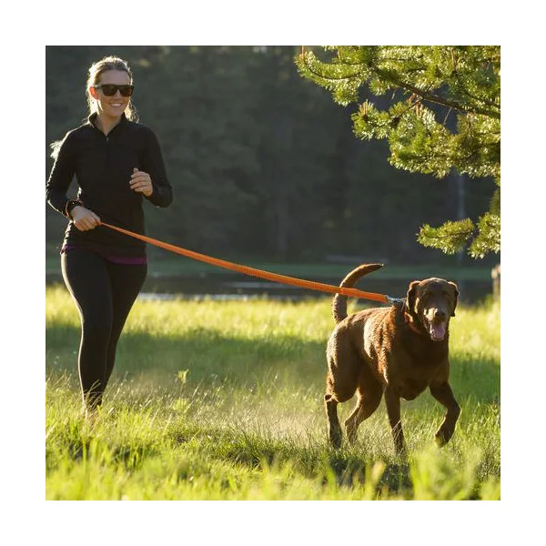 Ruffwear Roamer Leash