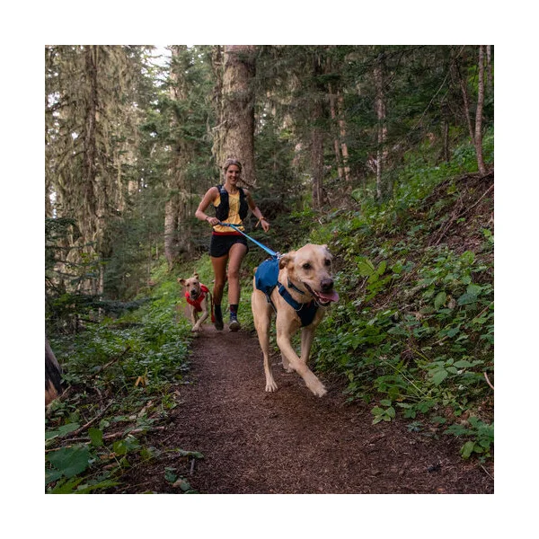 Ruffwear Roamer Leash