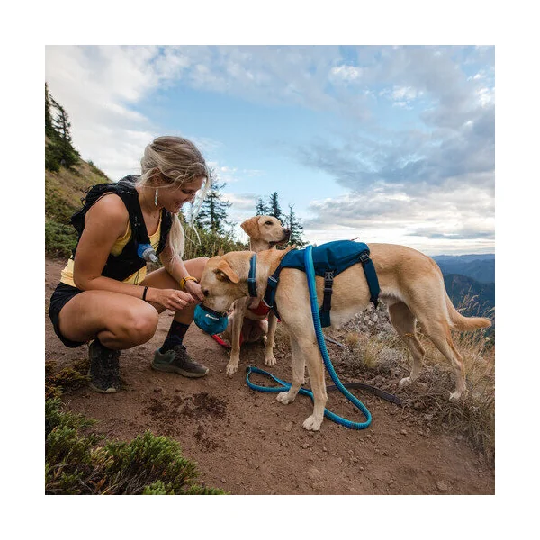 Ruffwear Roamer Leash