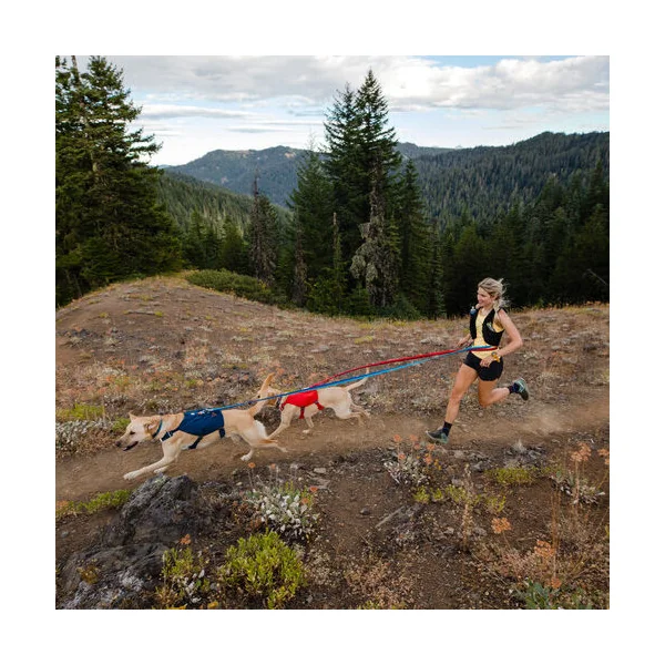 Ruffwear Roamer Leash