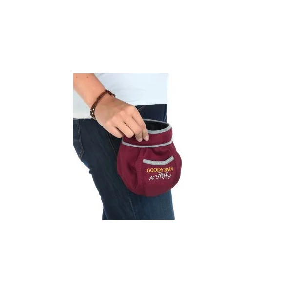 SAC A FRIANDISES