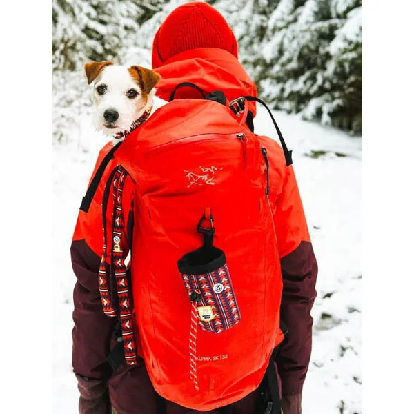 Sac à friandises pour chien motif Polar Night - Woolly Wolf