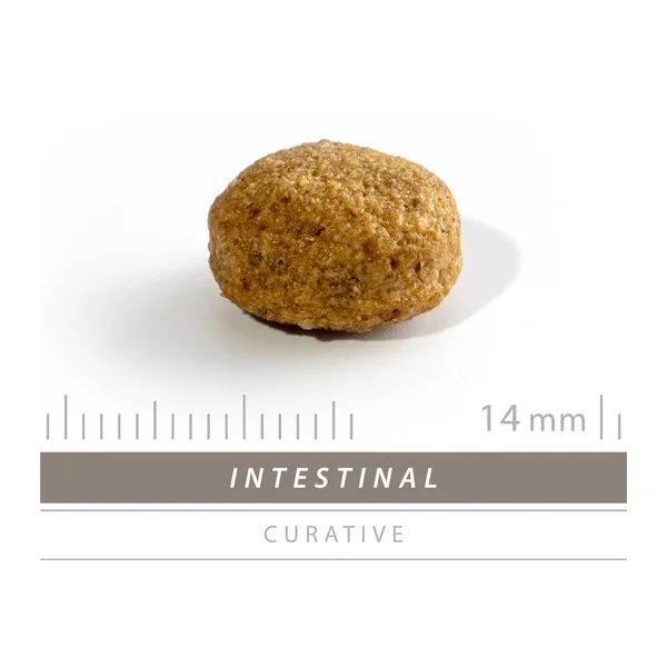 SANIMED Intestinal - Chien