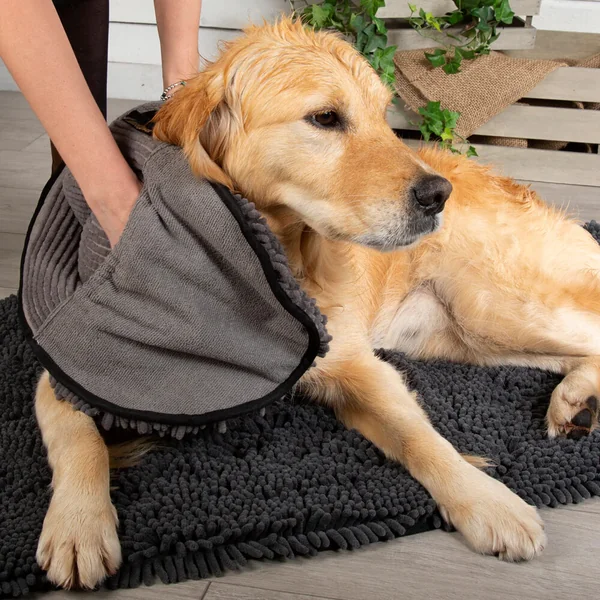 Scruffs Noodle Serviette de séchage