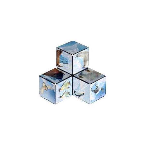 Shashibo Arctic