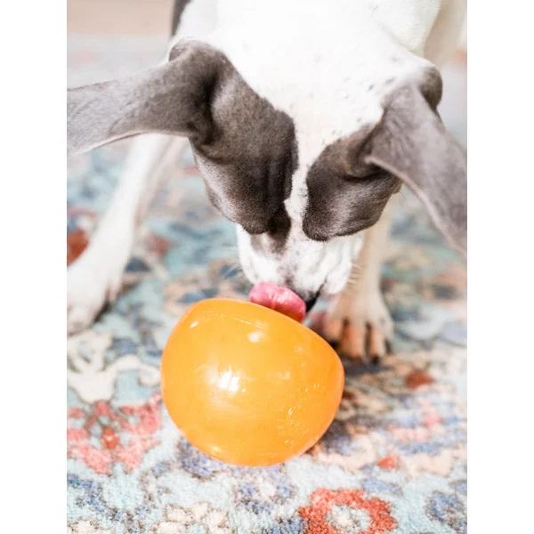 Snoop Orbee-Tuff pour chien - jouet interactif distributeur de friandises