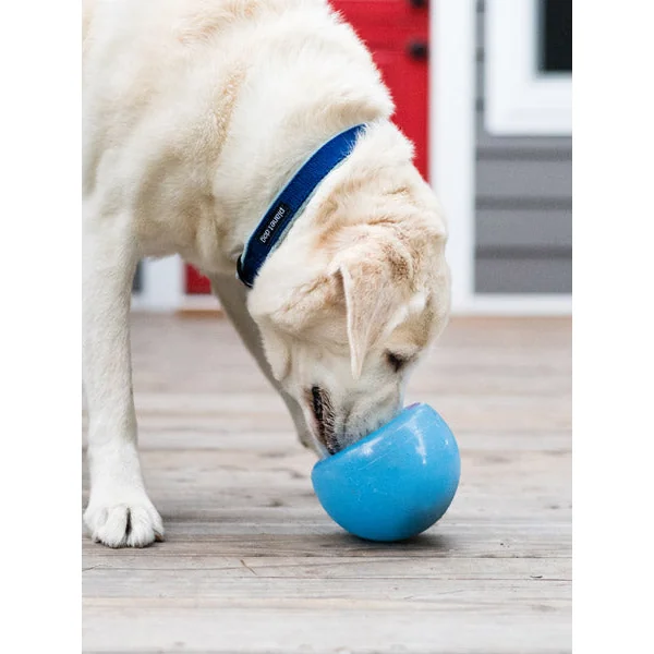 Snoop Orbee-Tuff pour chien - jouet interactif distributeur de friandises
