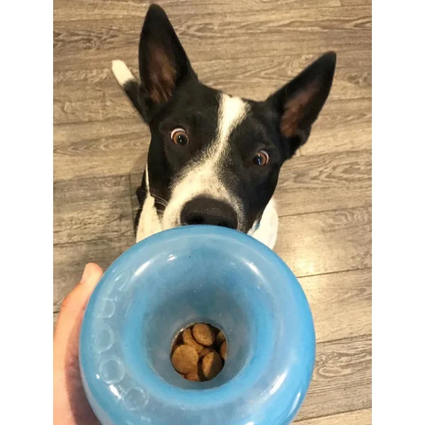 Snoop Orbee-Tuff pour chien - jouet interactif distributeur de friandises