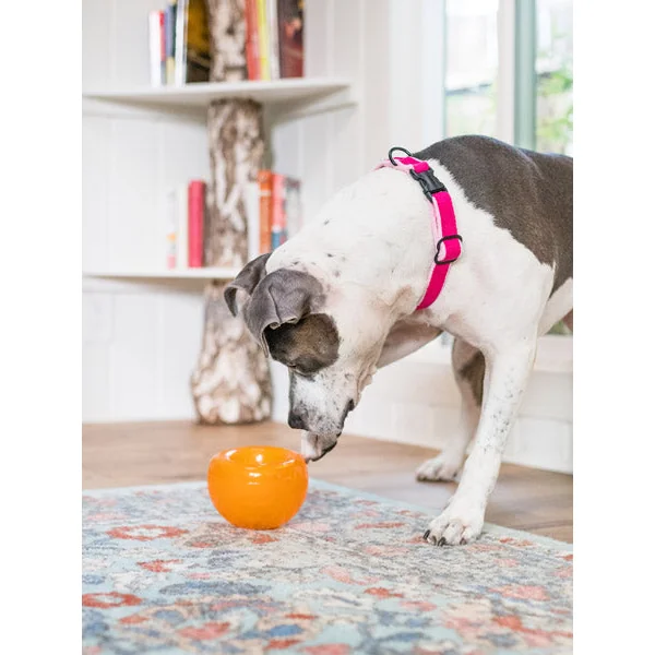 Snoop Orbee-Tuff pour chien - jouet interactif distributeur de friandises