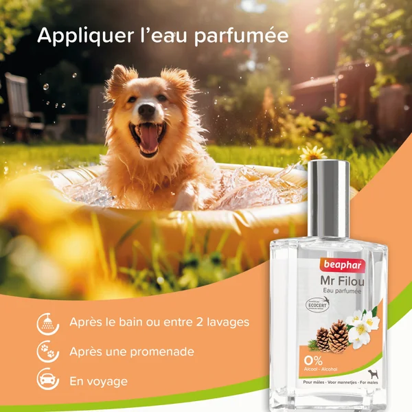 Soin Chien - Beaphar Eau parfumée Mr Filou pour chien mâle - 50 ml