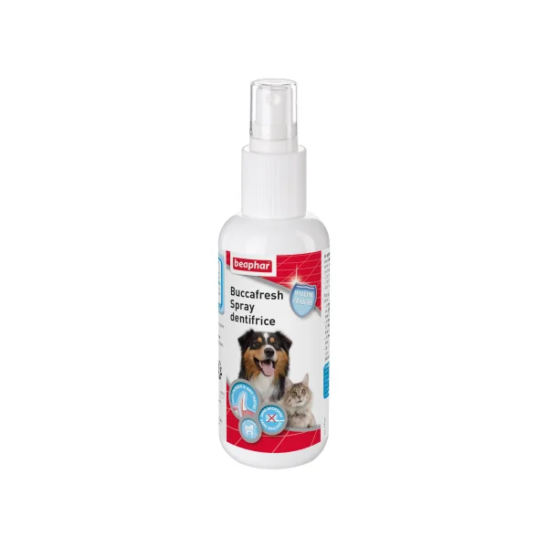 SPRAY DENTIFRICE 150ML
