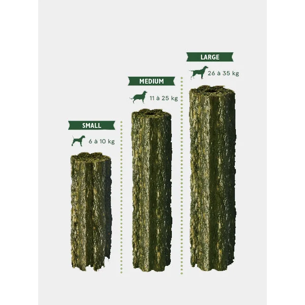 Stick dentaire pour chien WoofBrush de Lily's Kitchen - Grand chien