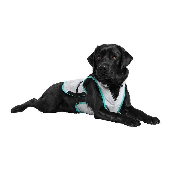 Suitical DRY Cooling Vest