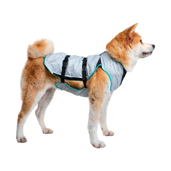 Suitical DRY Cooling Vest