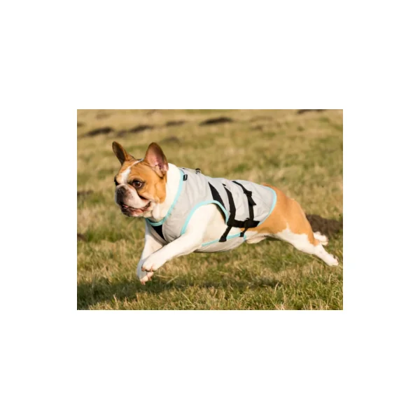 Suitical DRY Cooling Vest
