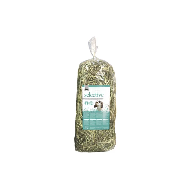 Supreme Science Timothy Hay