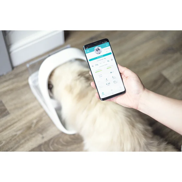 SureFeed : Optimisez le comportement alimentaire de votre chat grâce à cette solution innovante