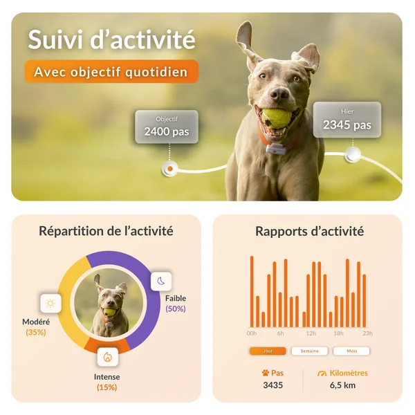 Sécurité Chien - Weenect GPS blanc XS – 60 X 23 X 12 mm