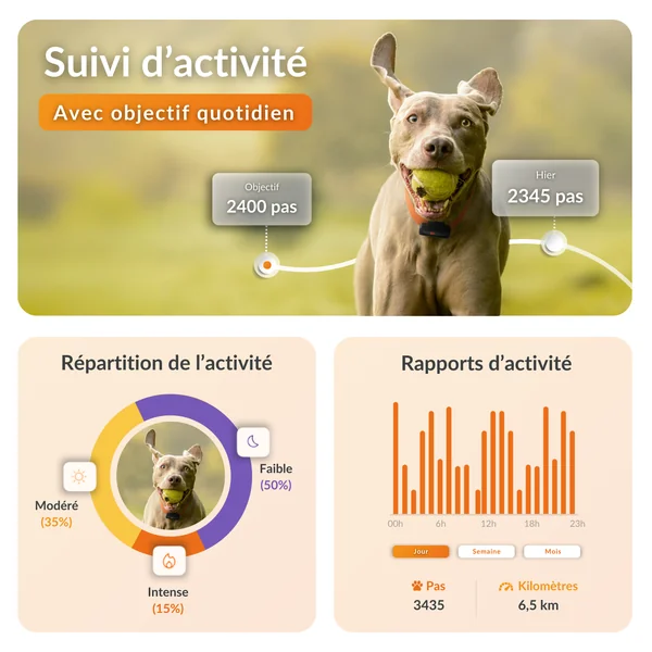 Sécurité Chien - Weenect GPS noir XS – 60 X 23 X 12 mm