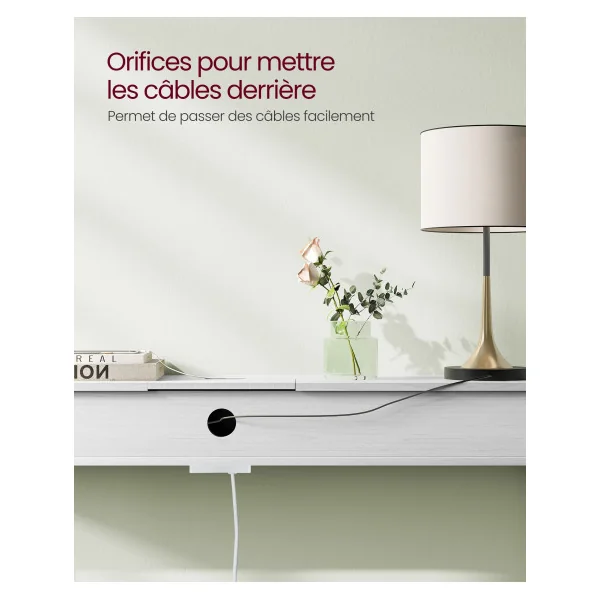 Table d'Entrée Console Fine Blanc Nuage Table de Canapé avec 2 Compartiments Chargement Caché Gain de Place
