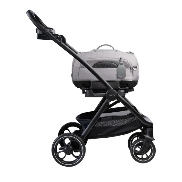 Tavo Pets Roscoe Trek