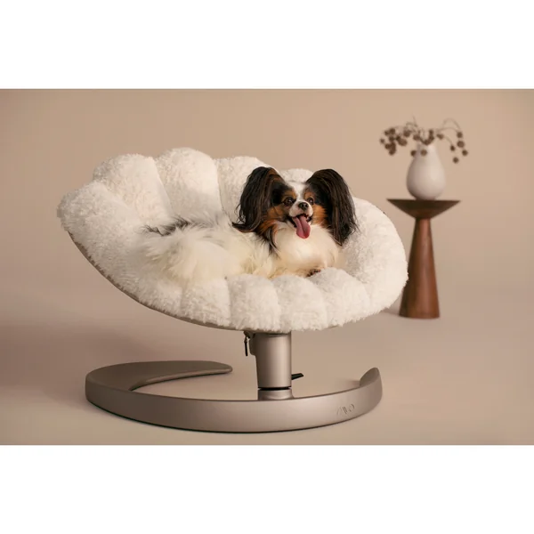 Tavo Pets Shell