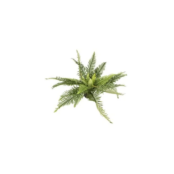 TERRA DELLA PLANTE FOUGERE XL 62 X 60 X 45 CM