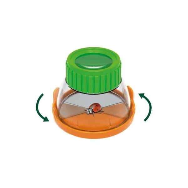 Terrarium - Buki