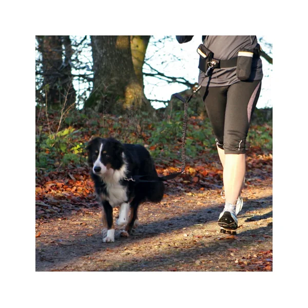 Trixie Ceinture Ventrale avec Laisse pour Chien