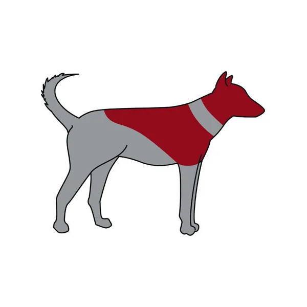 Trixie Collerette de Protection Gonflable