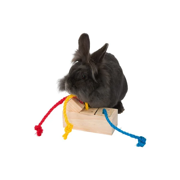 Trixie Cube Snack Jeu pour Petits Animaux