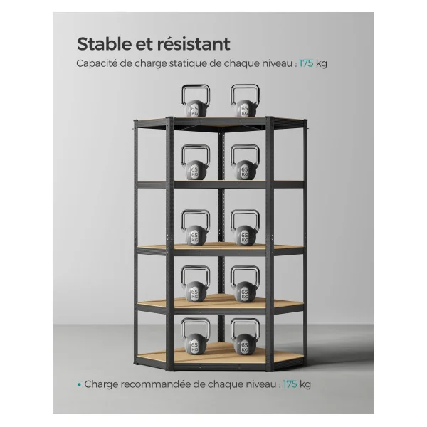 Étagères d’Angle à 5 Niveaux en Acier Noir Rack de Rangement Angle 875 kg